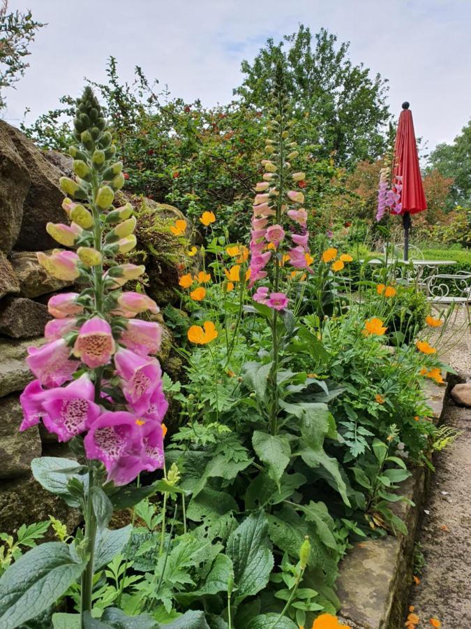 Howgill Farm Bolton Abbey Апълтрийуик Екстериор снимка